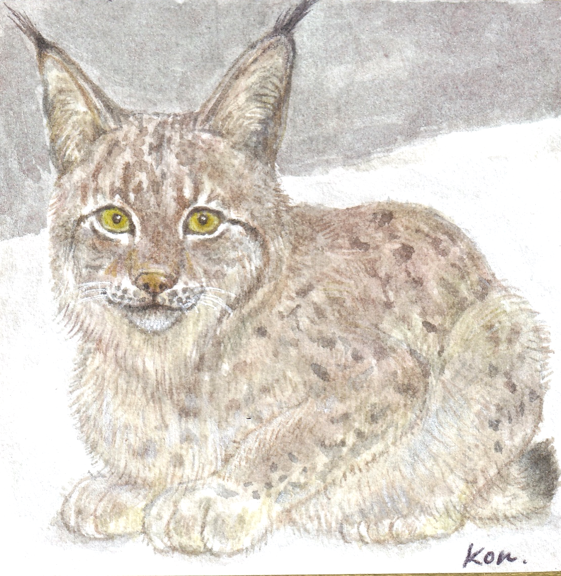 ヨーロッパオオヤマネコ